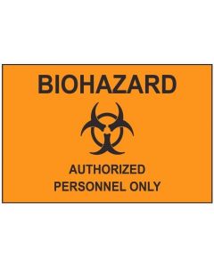 Biohazard 2 aw