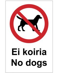 Ei koiria No dogs