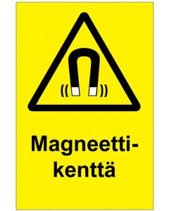 Magneettikenttä MAG