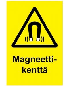 Magneettik vk