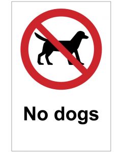 No dogs (b)