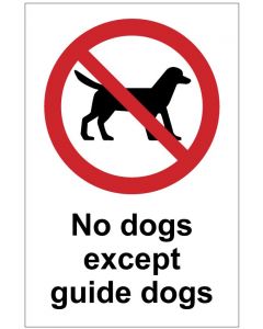No dogs except guide dog (b)