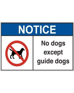 No Dogs an