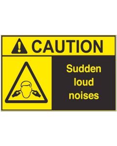 Sudden Loud Noises ac