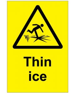 Thin ice (b)