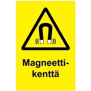 Magneettik vk