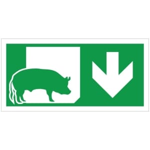 Poistumistie sikala JV kyltti