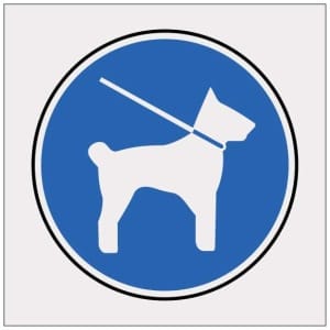Koira heijastava-0